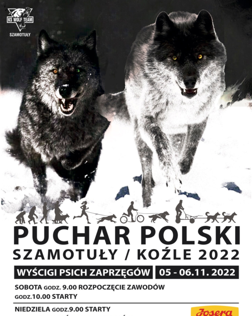 Puchar Polski Wyścigi Psich Zaprzęgów Szamotuły/Koźle